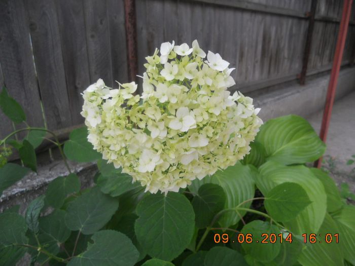 DSCN3076