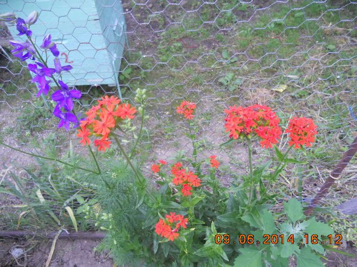 DSCN3077