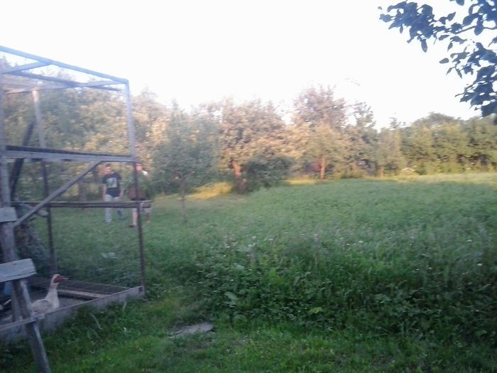 2014-06-09 20.26.39 - In gradina 2014-2015