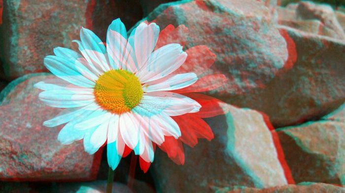 20140520_143502 - 3D ANAGLYPH