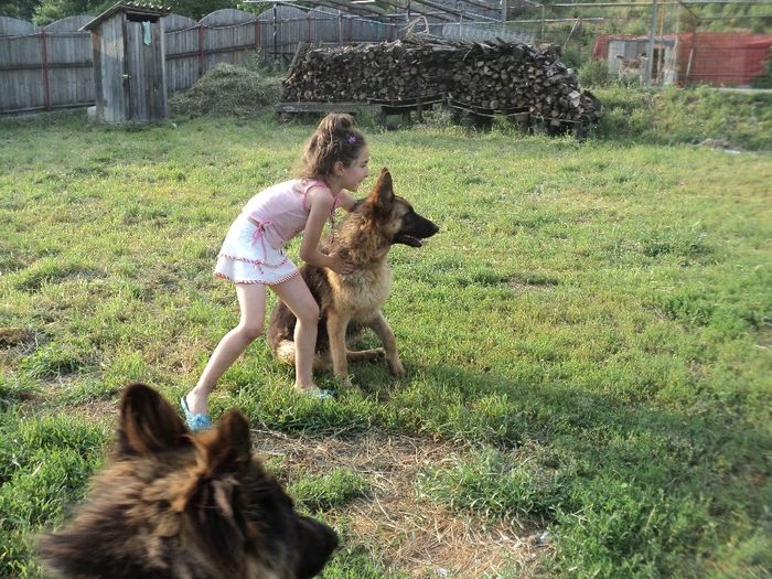 FENIA VD BALAND; PREGATITA DE ATAC
