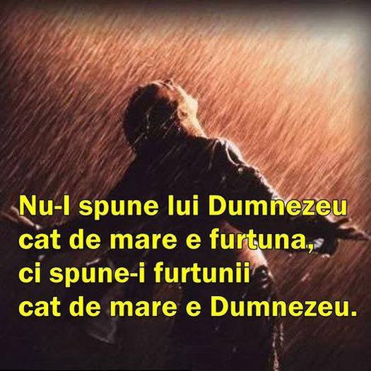 10410543_549270001848535_1869542438393251803_n