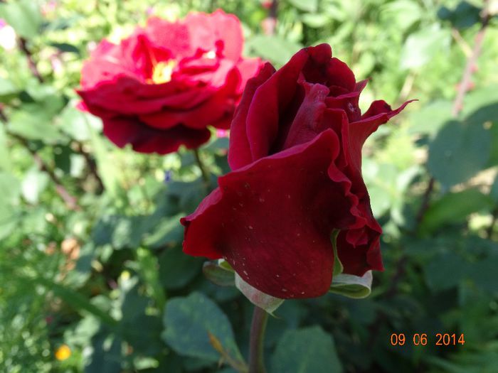 DSC04676