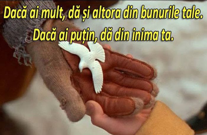 10447667_549274531848082_6439023288516947842_n