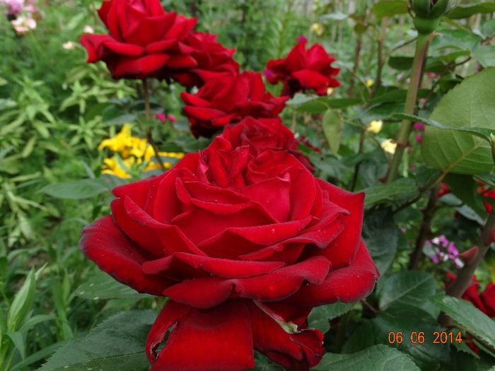 DSC04402
