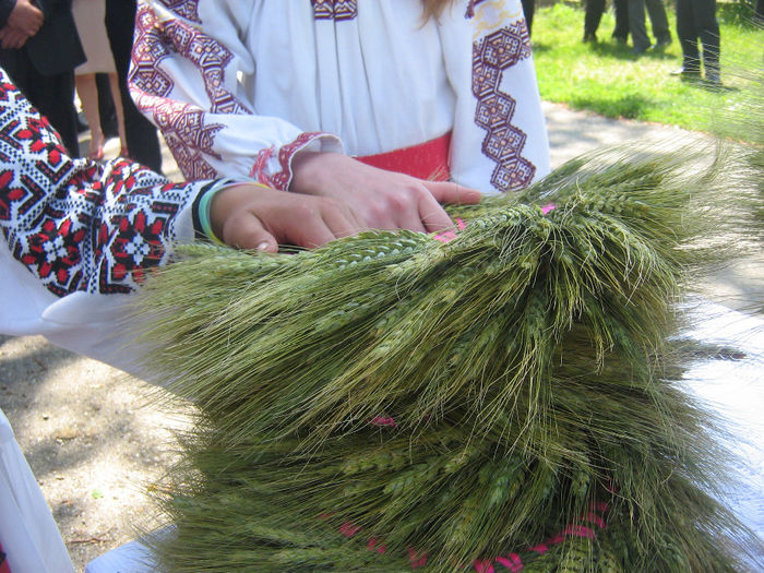 poze Rusalii 2014 053