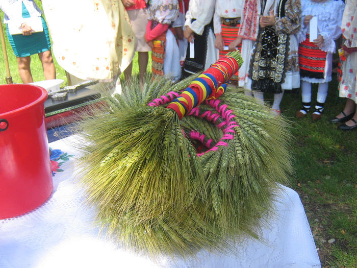 poze Rusalii 2014 059