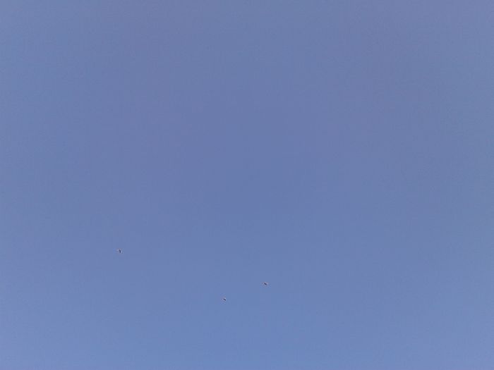 2014-06-10 06.04.55
