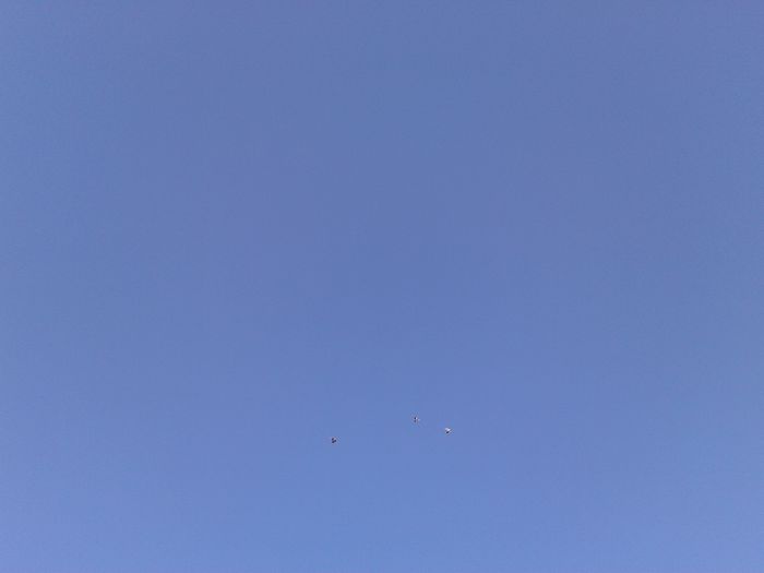 2014-06-10 06.05.24