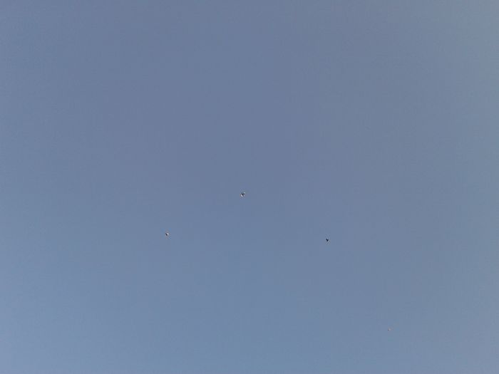 2014-06-10 06.07.17