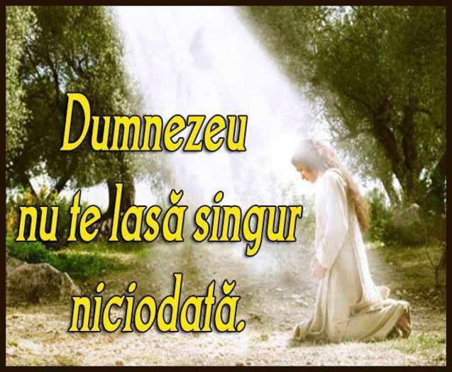 10440880_831006510271279_8874735469254727442_n