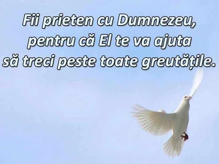 10376947_831529860218944_6292874137810503133_n