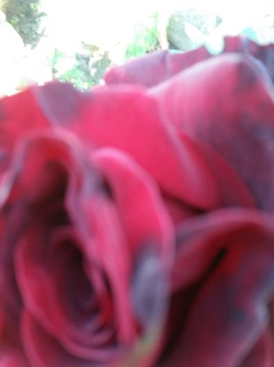 20140609_092647