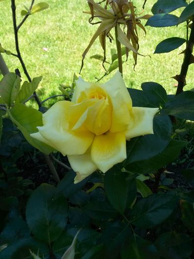 20140609_124616