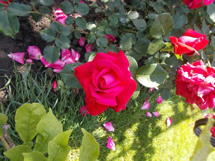 DSCN0215