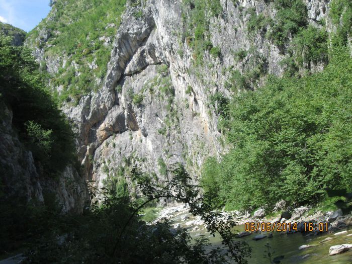 IMG_5976 - Sohodol iunie 2014