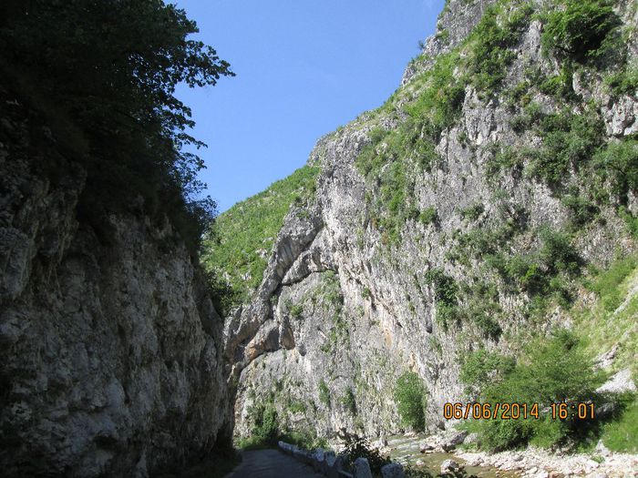 IMG_5978 - Sohodol iunie 2014