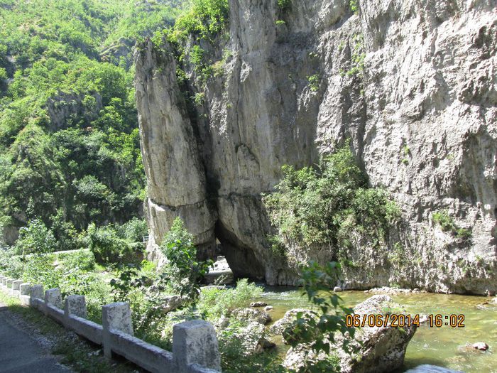 IMG_5980 - Sohodol iunie 2014