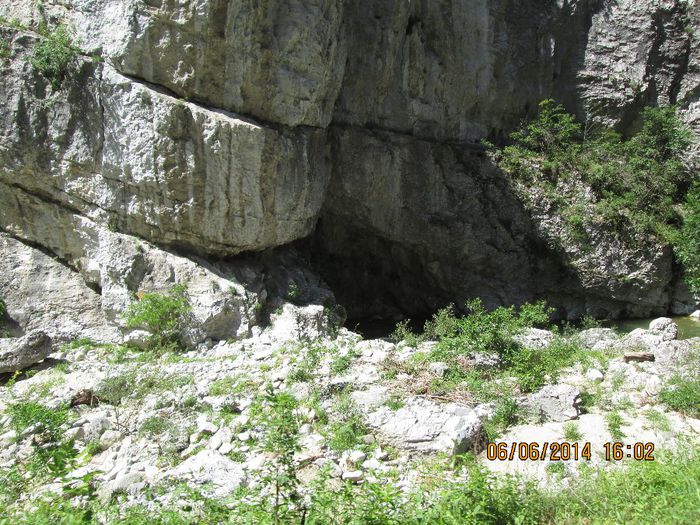 IMG_5981 - Sohodol iunie 2014