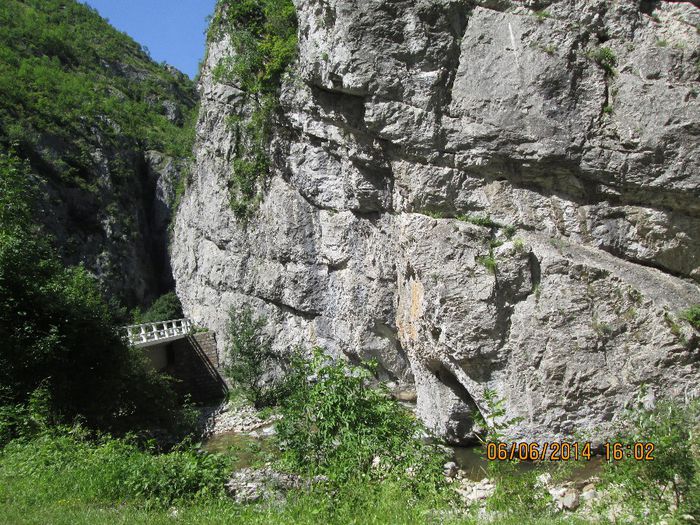 IMG_5982 - Sohodol iunie 2014