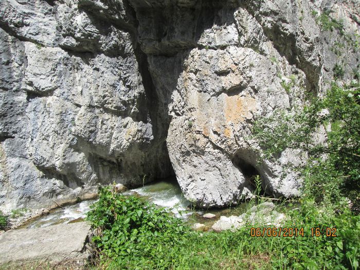 IMG_5983 - Sohodol iunie 2014