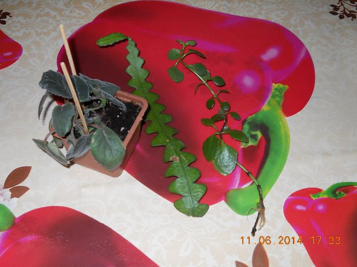 020 - ACHIZITII 2014