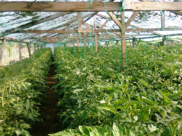 antalya 12.06.2014 - solarii 12 iunie 2014