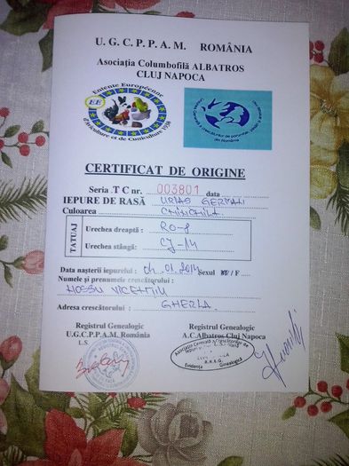 certificat