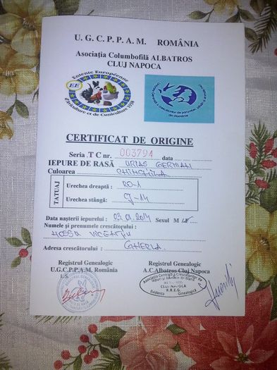 certificat