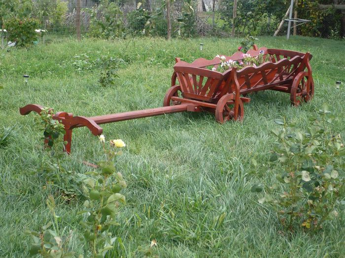 P1030927 - mobilier gradina