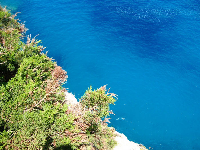 Porto Katsiki beach (71) - Porto Katsiki beach