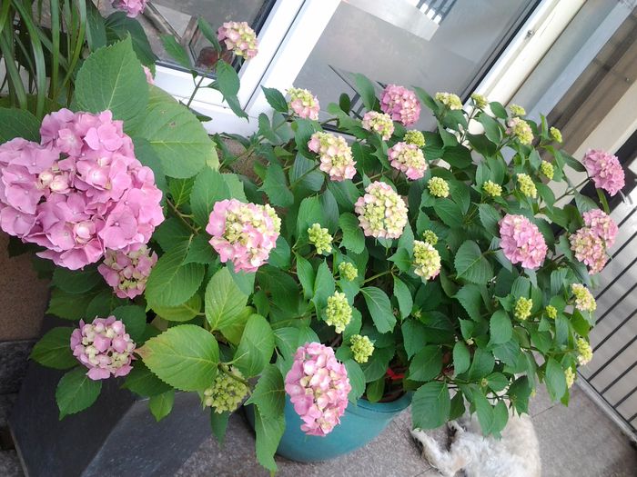 20140613_113040