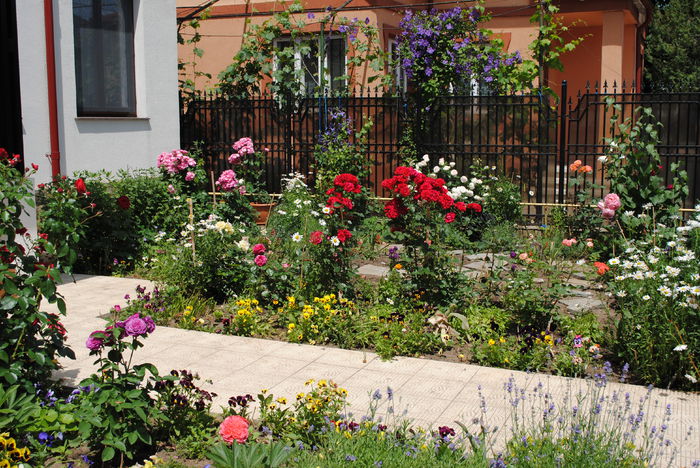 gradina 12 iunie - yyy 2014 gradina mea