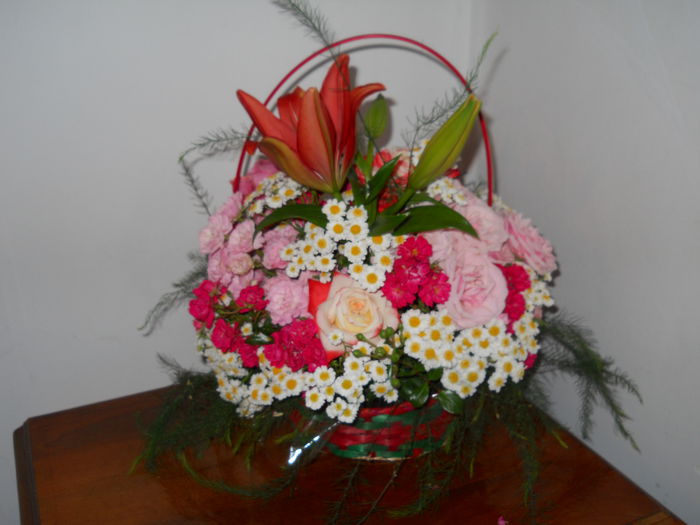 DSCN3968