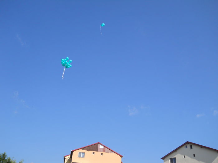 DSCN3993