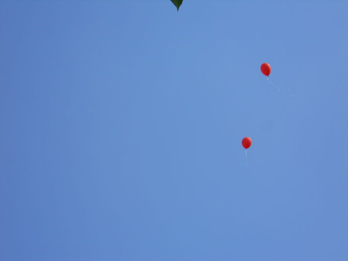 DSCN4010