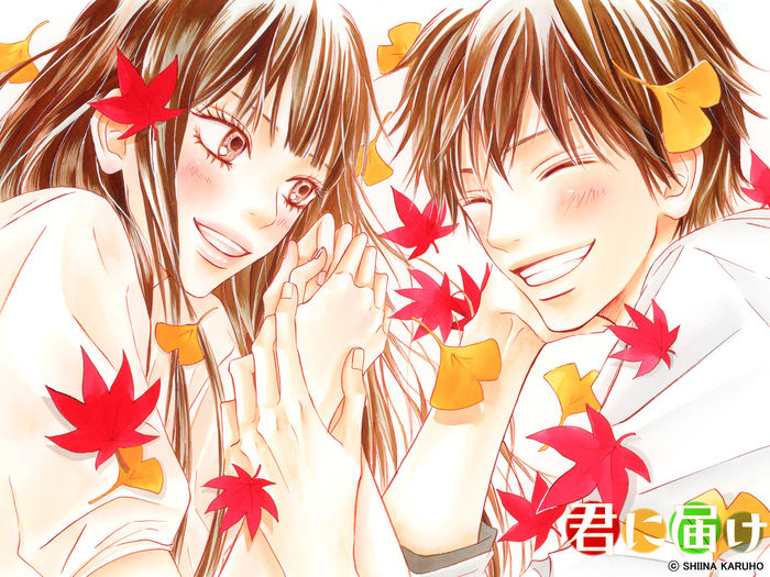 Kimi.ni.Todoke.full.68492