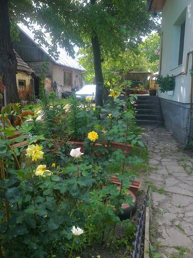 Fotografie1200 - vara 2014