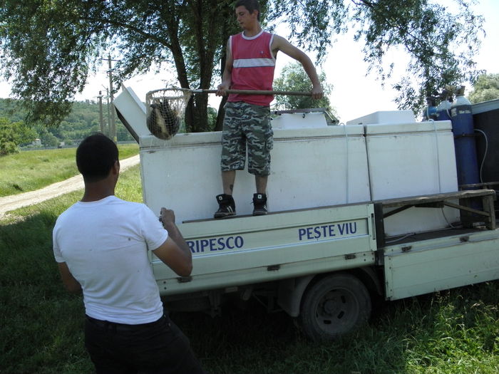 13.06.2014 - PESCUIT 2014