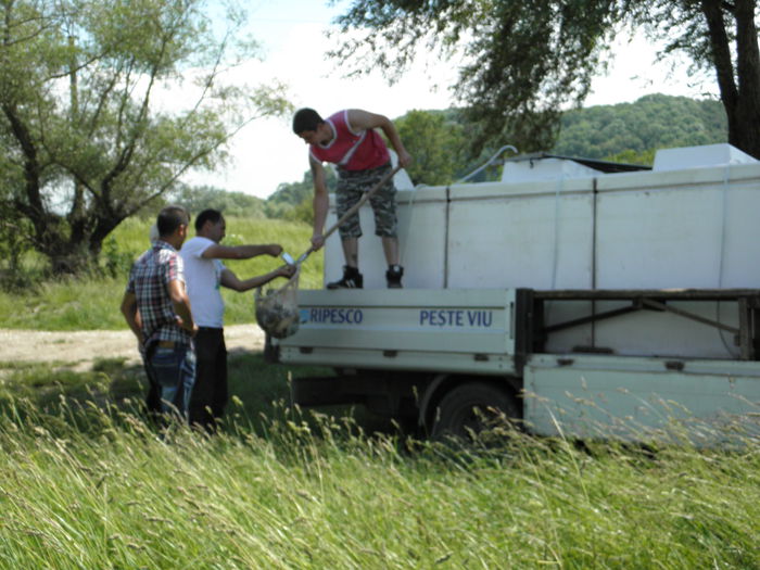 13.06.2014 - PESCUIT 2014
