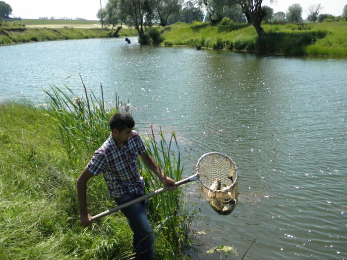 13.06.2014 - PESCUIT 2014