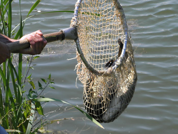 13.06.2014 - PESCUIT 2014