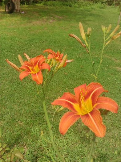 tmp_DSC_0010-2101208164