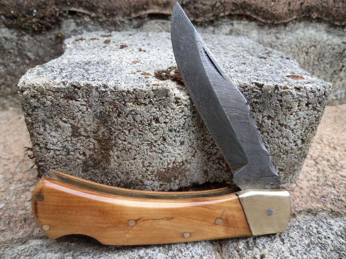 Varianta_6 - Bricege cu LAMA DE DAMASC