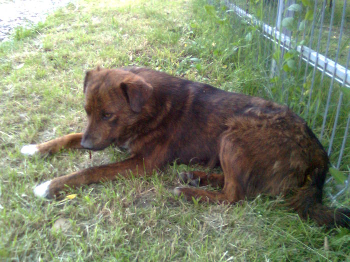 LA ORA 20.00 A FOST...