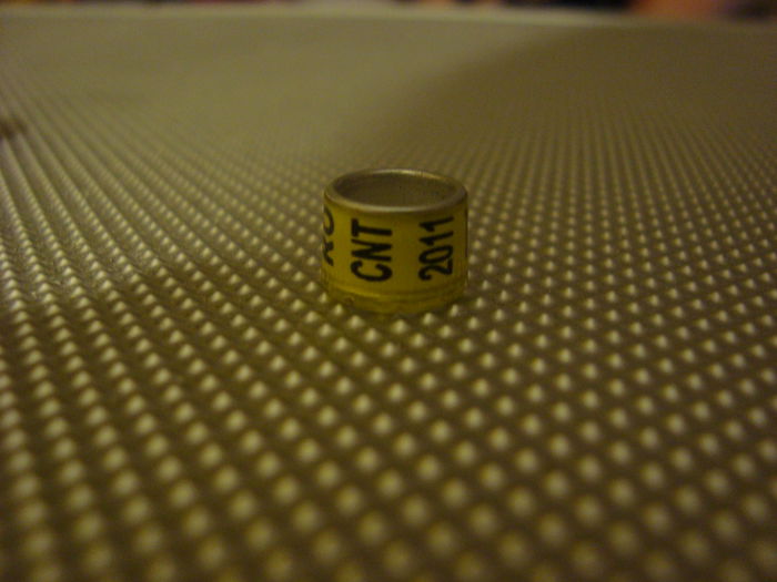 RO CNT 2011   12  buc