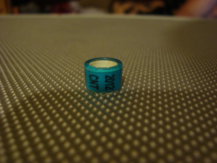 RO CNT 2012   16  buc - INELE PENTRU SCHIMB csere gyuru