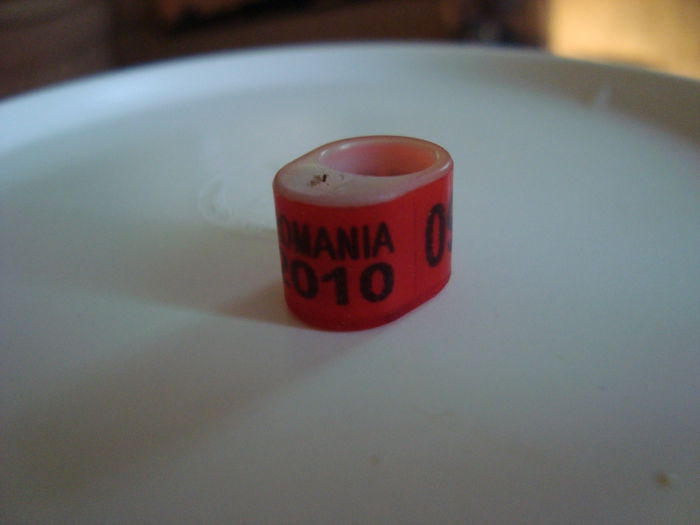 RO  2010  ( 21o buc)