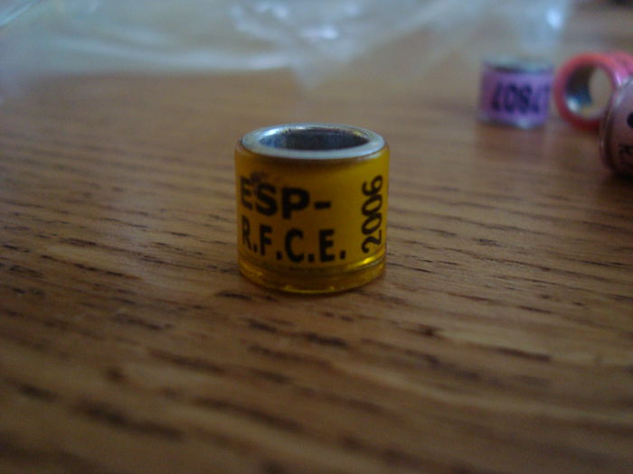 ESP RFCE 2006   3 buc