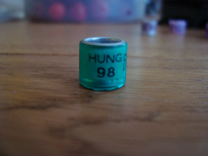 HUNG 98  1  buc